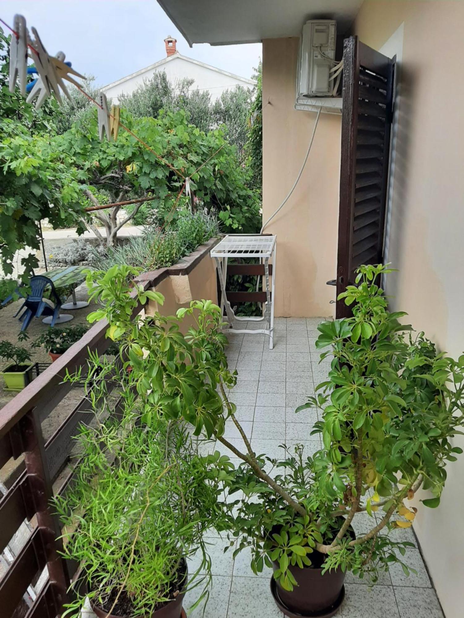 Apartmani Marija ปอฟเลียนา ห้อง รูปภาพ