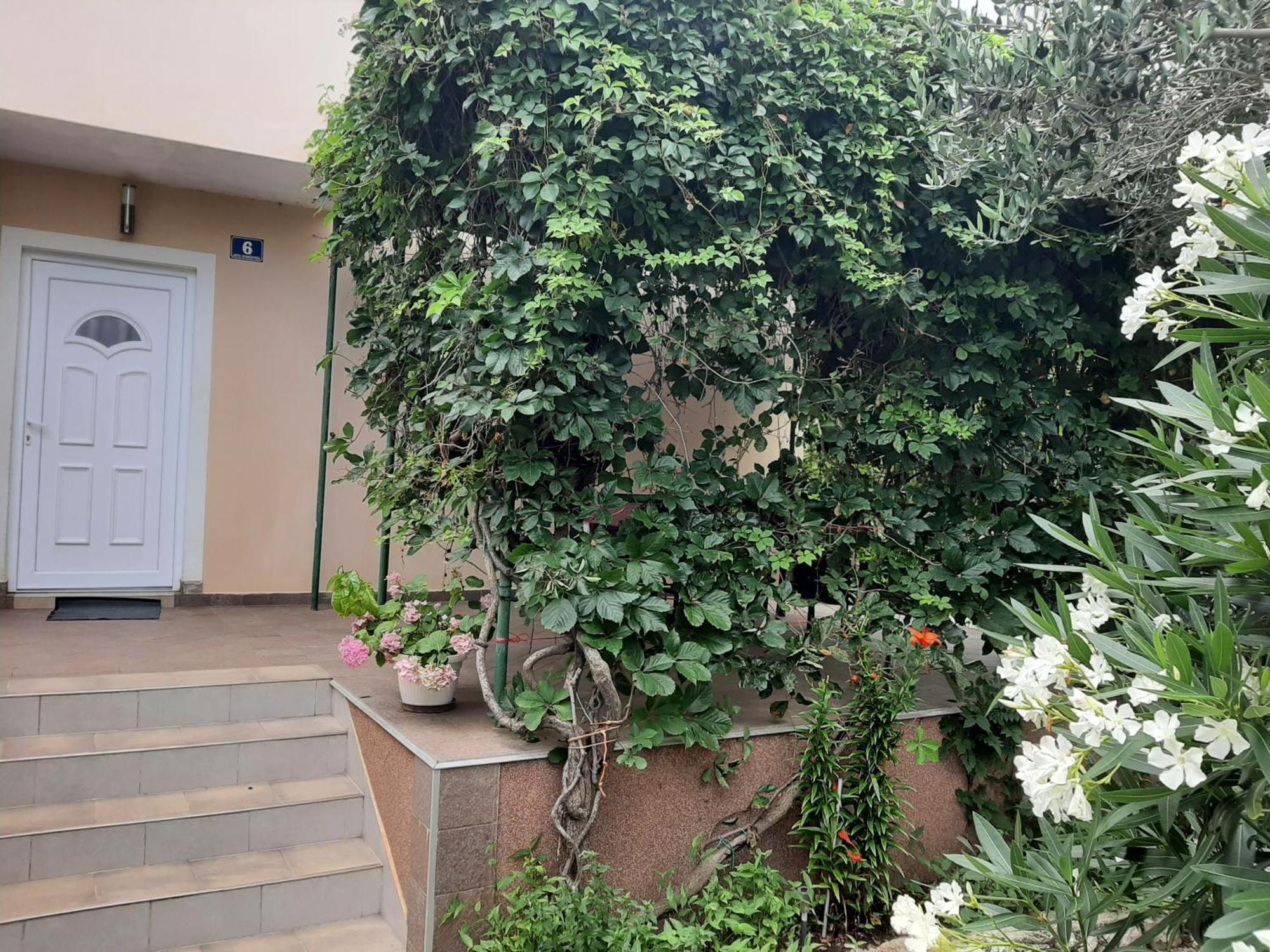 Apartmani Marija ปอฟเลียนา ห้อง รูปภาพ