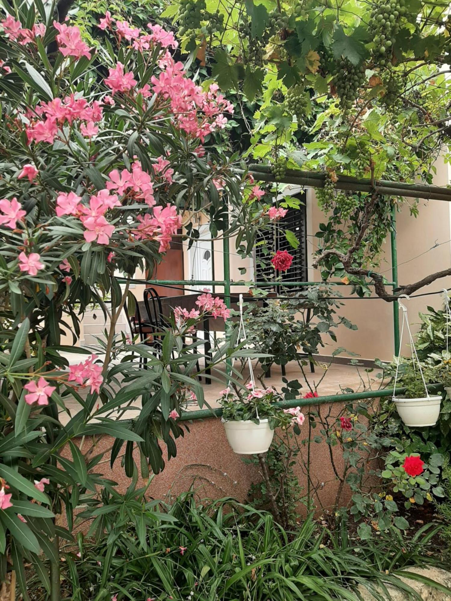 Apartmani Marija ปอฟเลียนา ห้อง รูปภาพ