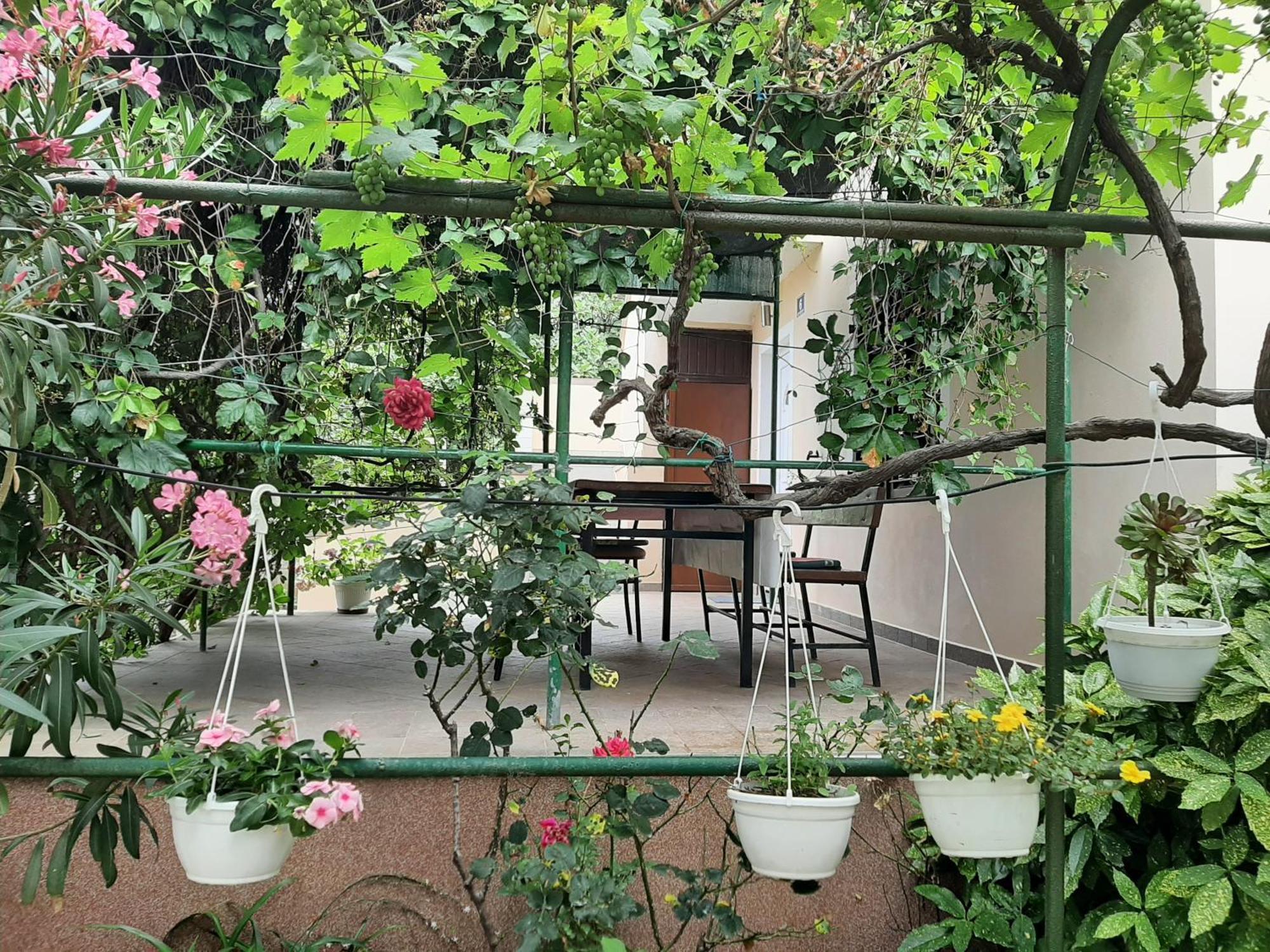 Apartmani Marija ปอฟเลียนา ห้อง รูปภาพ