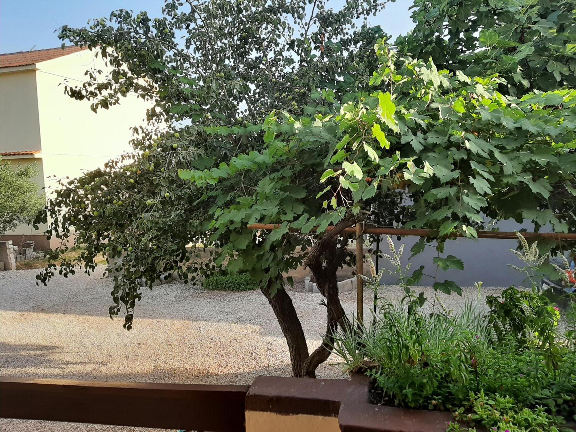 Apartmani Marija ปอฟเลียนา ห้อง รูปภาพ